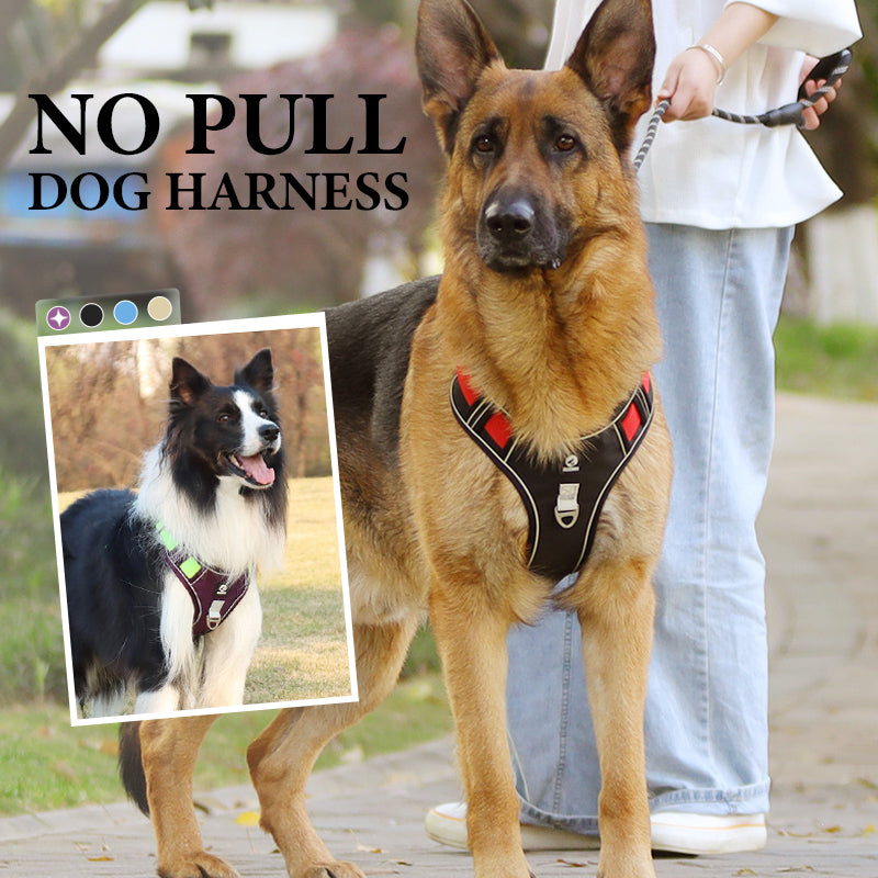 Sumoravibe - Pettorina per cani No Pull con guinzaglio e collare LED