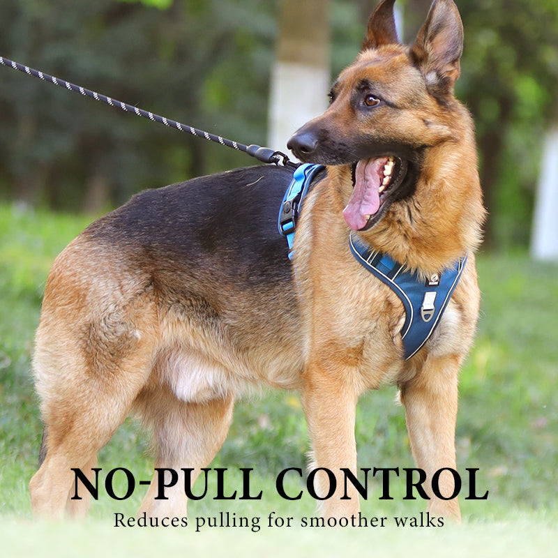 Sumoravibe - Pettorina per cani No Pull con guinzaglio e collare LED