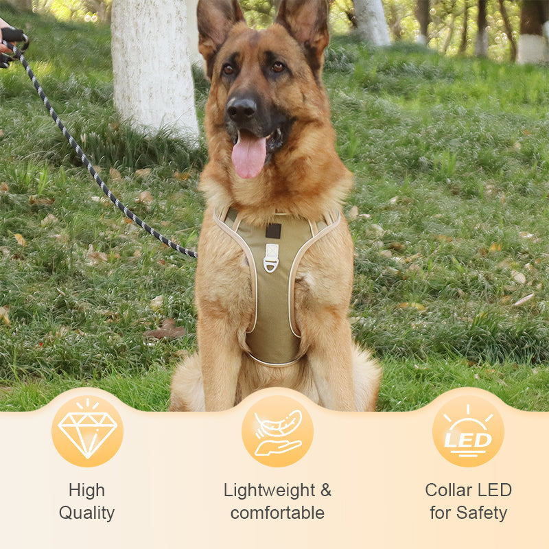 Sumoravibe - Pettorina per cani No Pull con guinzaglio e collare LED