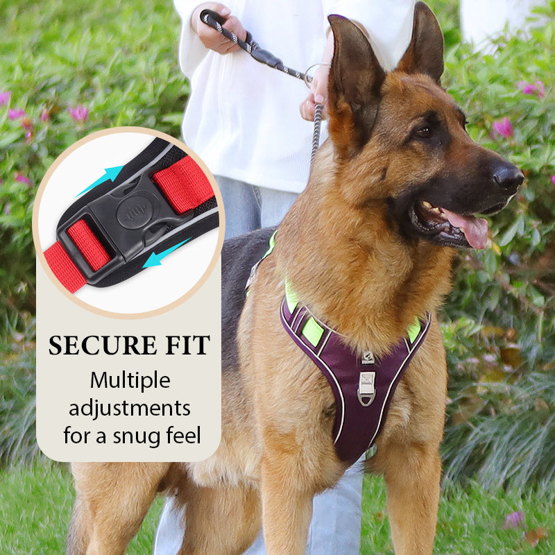 Sumoravibe - Pettorina per cani No Pull con guinzaglio e collare LED