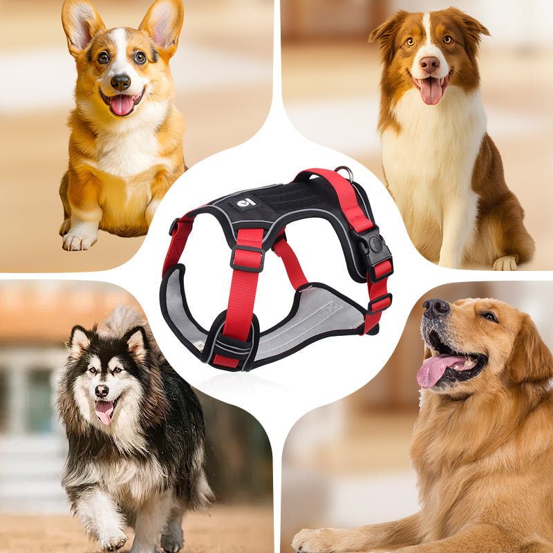 Sumoravibe - Pettorina per cani No Pull con guinzaglio e collare LED