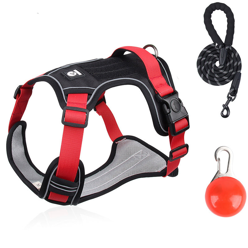 Sumoravibe - Pettorina per cani No Pull con guinzaglio e collare LED